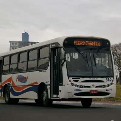 Vicampe Transportes e Turismo 350
