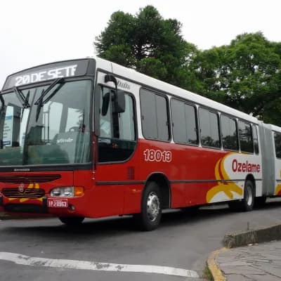 Ozelame Transportes 18013