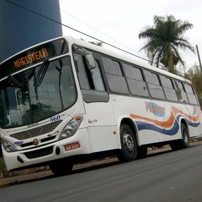 Vicampe Transportes e Turismo 560