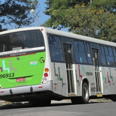 Viação Piracema de Transportes Ltda 96913