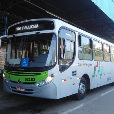 Viação Piracema de Transportes Ltda 82163