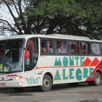 Monte Alegre Turismo 1050