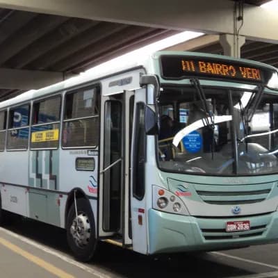 Viação Trevisan e Logística 21239