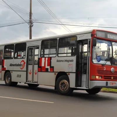 VIPA - Viação Panorâmica 1018