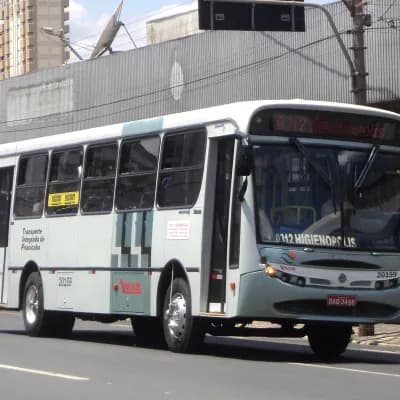 Viação Trevisan e Logística 20159