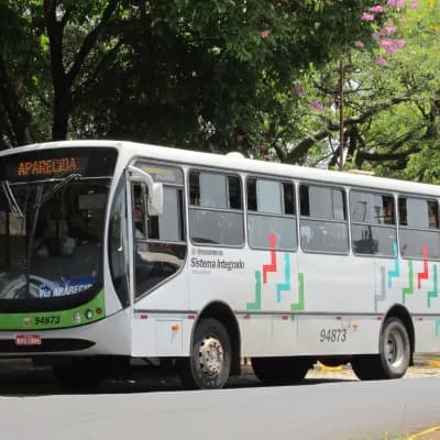 Viação Piracema de Transportes Ltda 94873