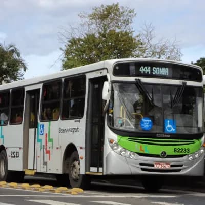 Viação Piracema de Transportes Ltda 82233