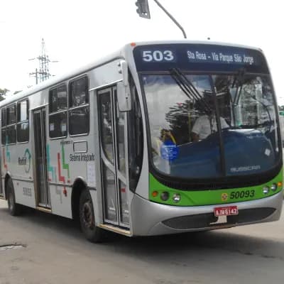 Viação Piracema de Transportes Ltda 50093