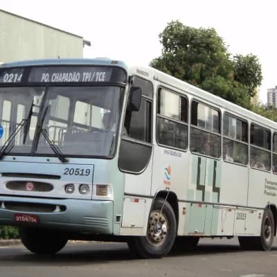 Viação Trevisan e Logística 20519