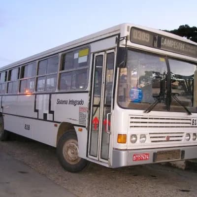VIPA - Viação Panorâmica 818