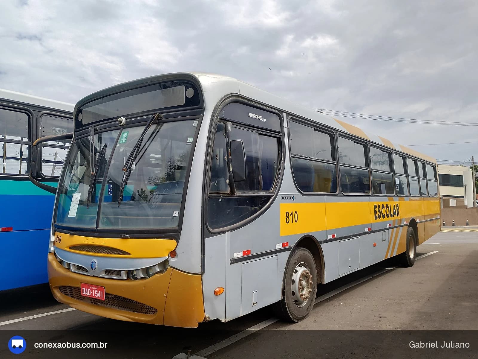 Ônibus CAIO Apache Vip, da Viação Stênico Ltda, prefixo 810, em Piracicaba-SP