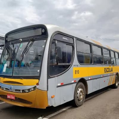 Viação Stênico Ltda 810