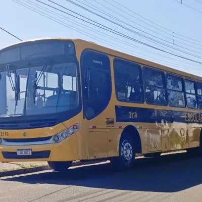 Viação Salire 2110