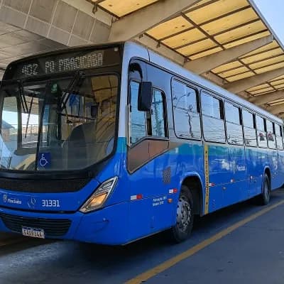 Rápido Sumaré | Pira Mobilidade 31331