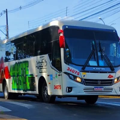 Monte Alegre Turismo 34075