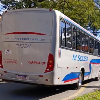 Auto Viação MM SOUZA Turismo 19024