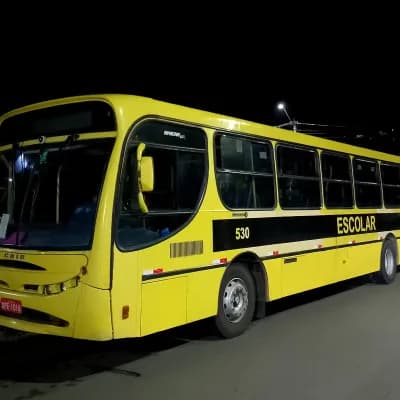 Viação Stênico Ltda 530
