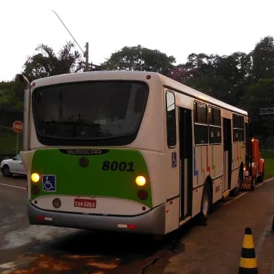 Auto Viação Millenium Ltda 8001