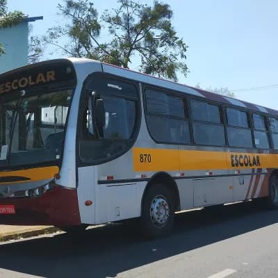 Viação Stênico Ltda 870