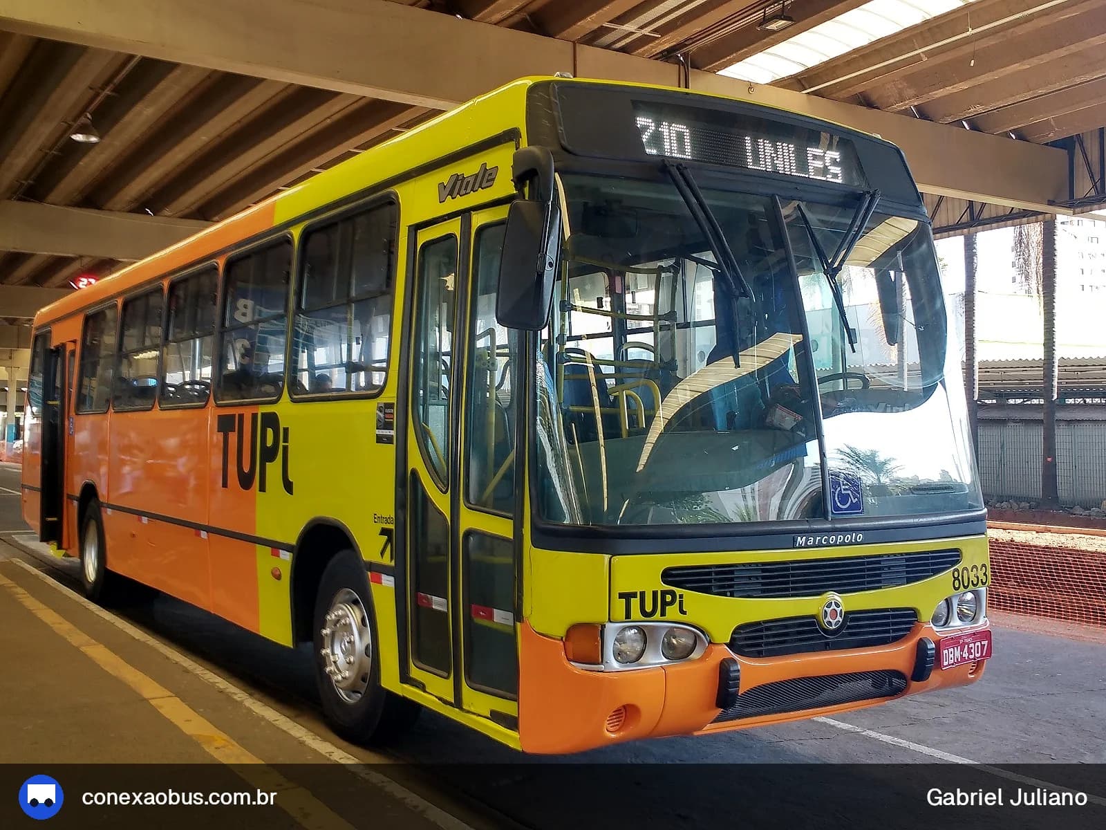 Ônibus Marcopolo Viale, da TUPi | Transporte Urbano Piracicaba, prefixo 8033, em Piracicaba-SP
