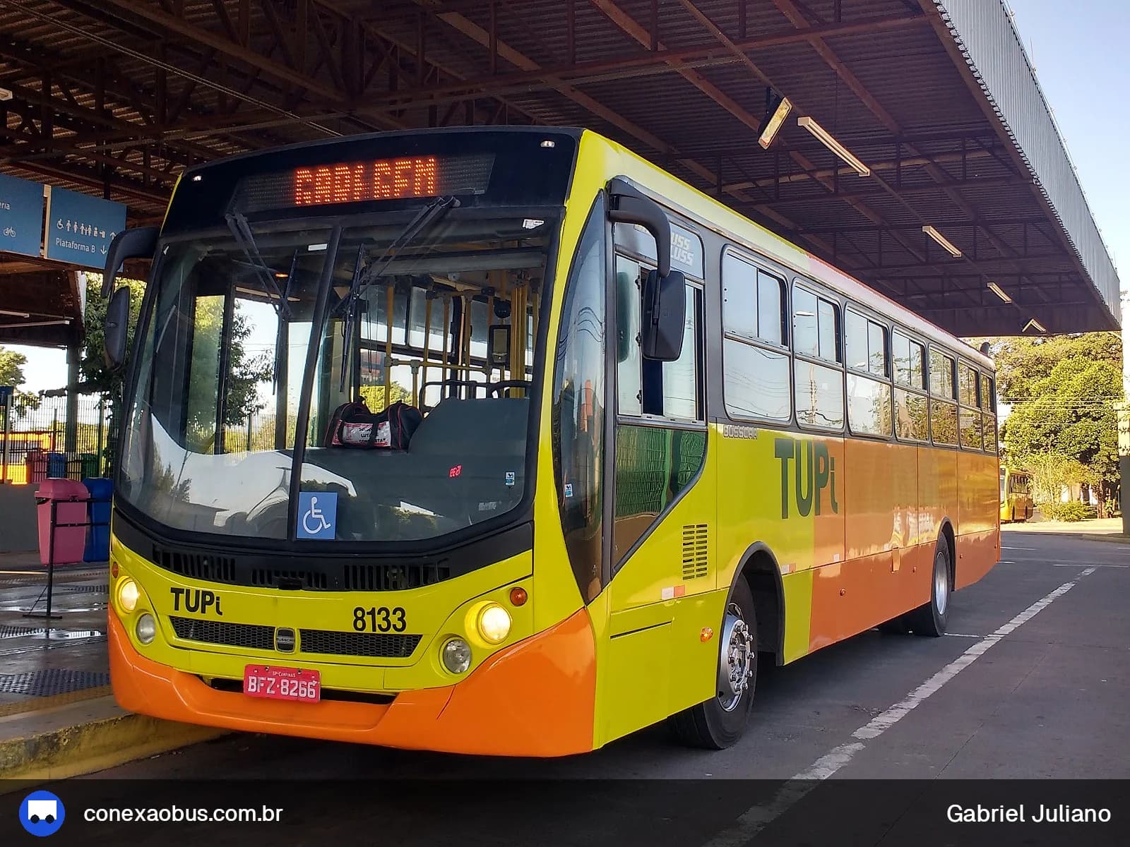 Ônibus Busscar Urbanuss Pluss 2009, da TUPi | Transporte Urbano Piracicaba, prefixo 8133, em Piracicaba-SP
