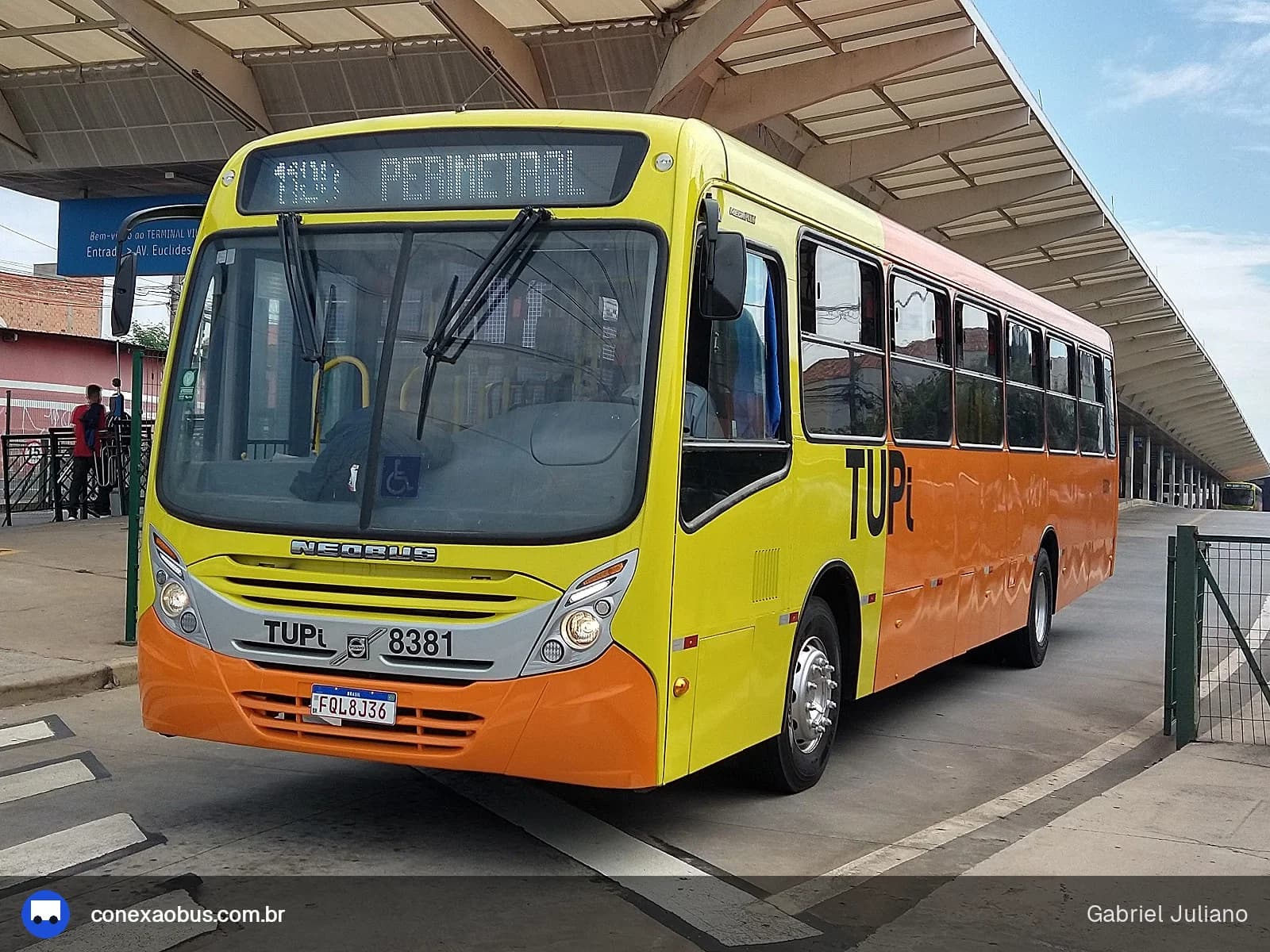 Ônibus Neobus Mega Plus, da TUPi | Transporte Urbano Piracicaba, prefixo 8381, em Piracicaba-SP