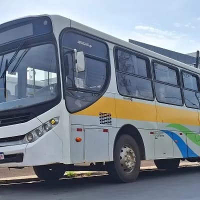 Terra Auto Viação 005