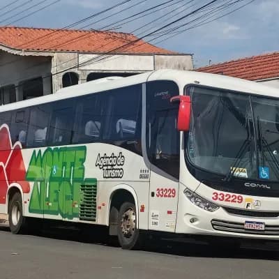 Monte Alegre Turismo 33229